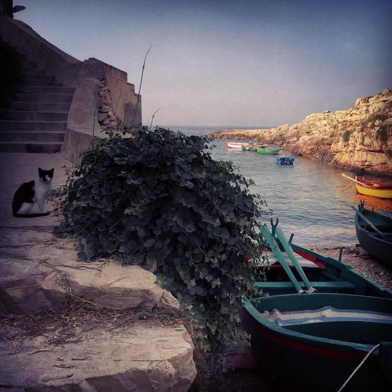 La Casetta Di Chiara B&B Polignano a Mare Luaran gambar